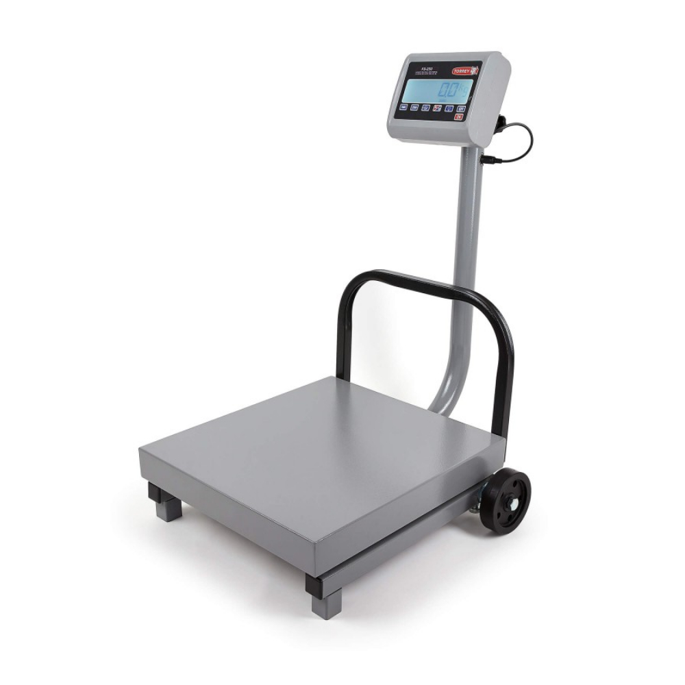TORREY FS250/500 Digital Receiving Scale, Rechargeable Battery, Robust Steel Construction, Toggles between kg and pounds, 250 kg/500 lb, Gray