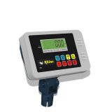 Rhino Indicador I-PES